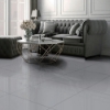 Picture of Kertiles - Concept 24 x 24 Gray Polished