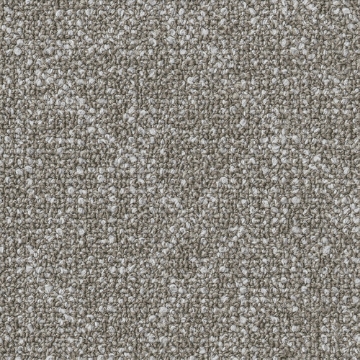 Picture of Shaw Contract - Collective IV Tan