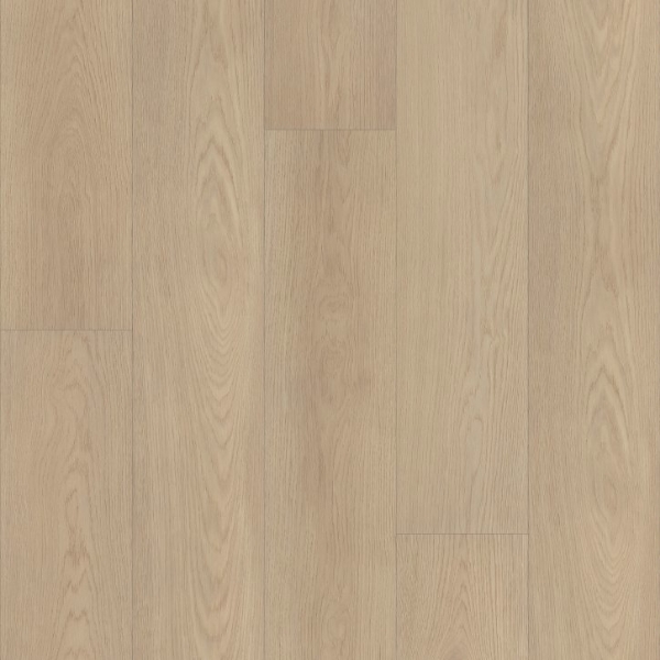 Picture of Shaw Builder - Vantage Point NB Escape