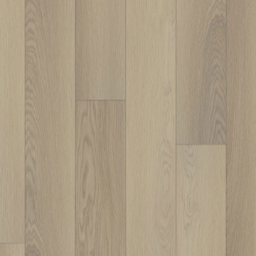 Picture of Happy Feet Intl. - Regency Knightsbridge