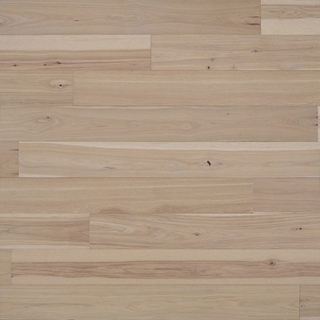 Picture of Chesapeake Flooring - Terra Nova Exploration