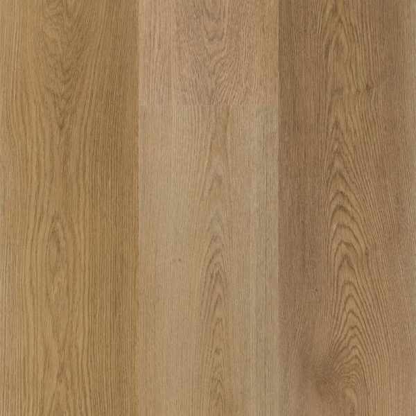 Picture of Daltile - Asher Bend Glue Down 2mm Manor