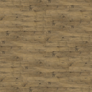 Picture of Shaw Contract - Uncommon Ground 4 Heritage