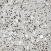 Picture of MiR Mosaic - Terrazzo Gris