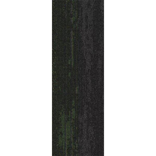 Picture of Mohawk Group - Disruptive Path Above Par