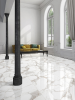 Picture of MiR Mosaic - Arya 24 x 48 Stauario Platina
