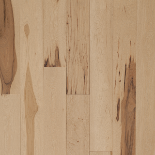 Picture of Tmbr. - Acadia Precipice Trail