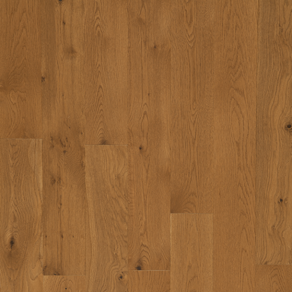 Picture of Tmbr. - Acadia Jordan Pond