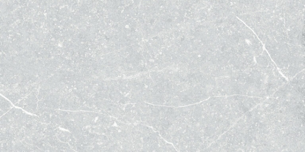 Picture of Alfagres - Agata 12 x 24 Gray