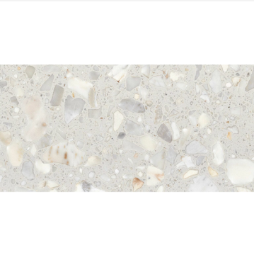 Picture of Alfagres - Terrazo Ceppo Marfil