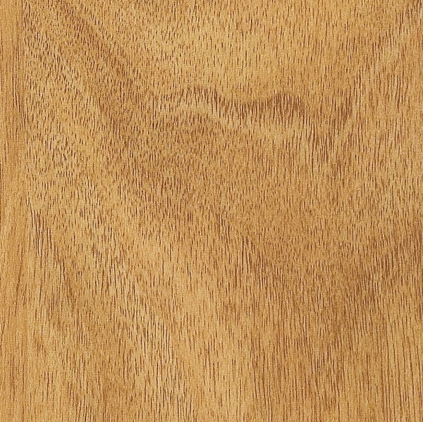 Picture of Amtico - Spacia Wood 6 x 36 American Walnut Natural