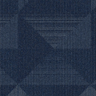 Picture of Mohawk Group - Enlivened Cadet