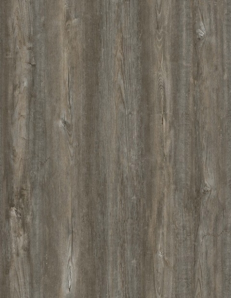 Picture of EJ Welch - Gravity Plus Colorado