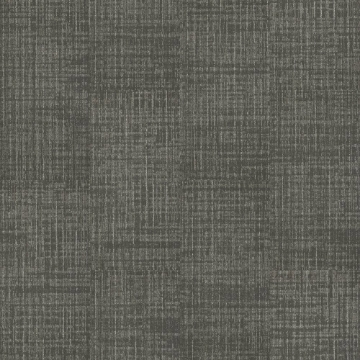 Picture of Shaw Contract - Fine Point Slate