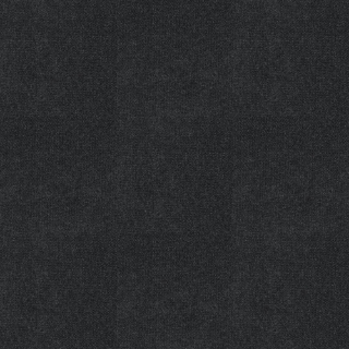 Picture of Shaw Contract - Welcome II Charcoal