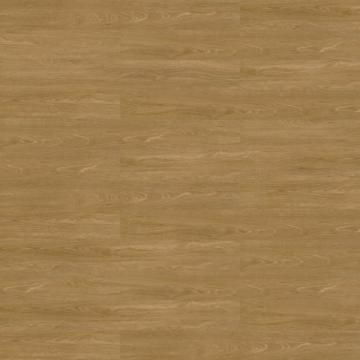 Picture of Shaw Contract - Terrain II 20 Mil 6 x 48 5mm Trail