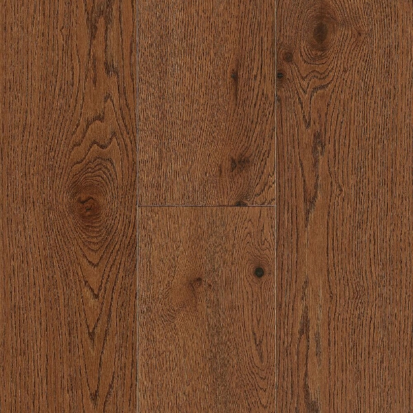 Picture of Robbins - ArmorWood Hill Forest