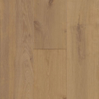 Picture of Robbins - Coastside 9 Santa Cruz