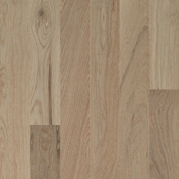 Picture of Robbins - Natural Forest Smooth Oak 4 Totally Tan
