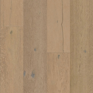 Picture of Robbins - Nature's Canvas Gold Sweet Dream Oak