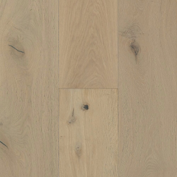 Picture of Robbins - Nature's Canvas Platinum Artsy Escape