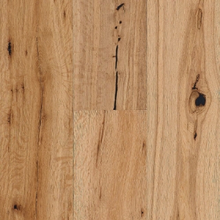 Picture of Robbins - Sheridan Trail Natural