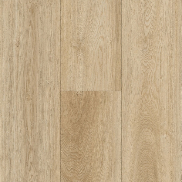 Picture of Robbins - Horizon's Embrace Desert Sun