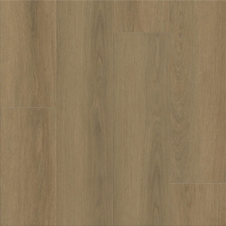 Picture of Shaw Floors - Dwell Homespun Brown