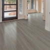 Picture of Shaw Floors - Dwell Hearthstone Grey