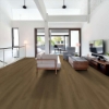 Picture of Shaw Floors - Dwell Rich Cocoa