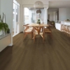 Picture of Shaw Floors - Dwell Rich Cocoa