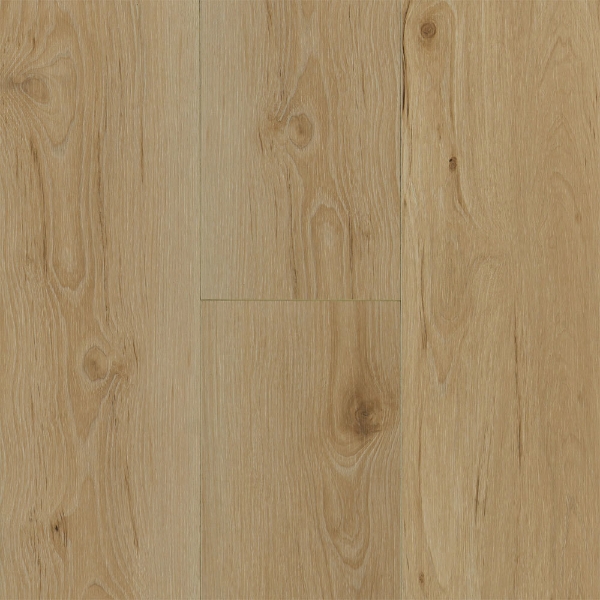 Picture of Robbins - Ingenious Plank Buff Tradition