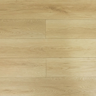 Picture of Montserrat - Rhodes Chamonix Dove