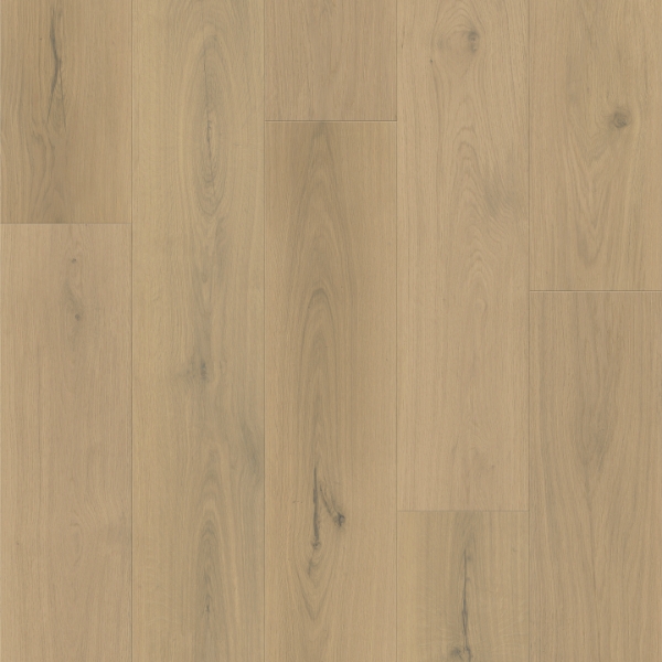 Picture of Southwind - Boundless 8 Toffee