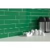 Picture of Emser Tile - Catch In Color 3 x 12 Clover