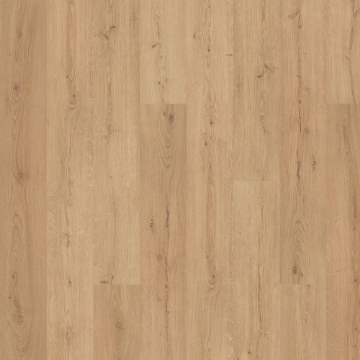 Picture of Mohawk - SolidTech Premier Saltgrass Springs Ryder