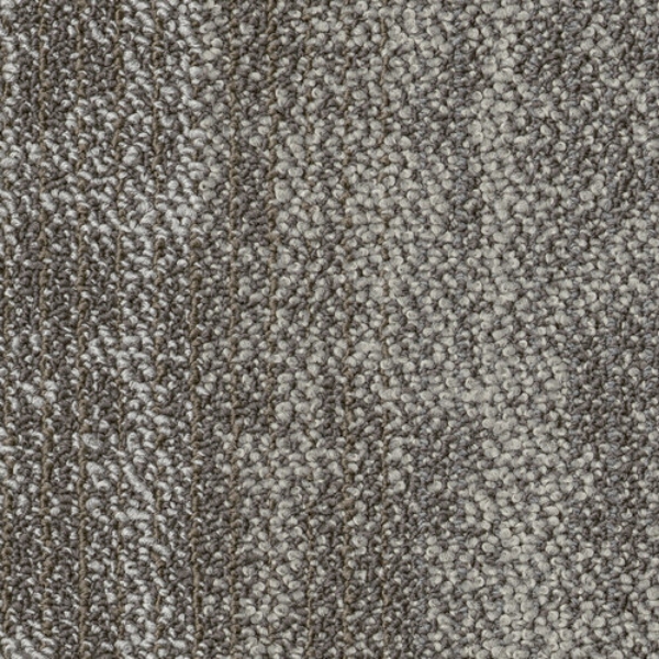 Picture of Shaw Contract - Suspend Tile Branch