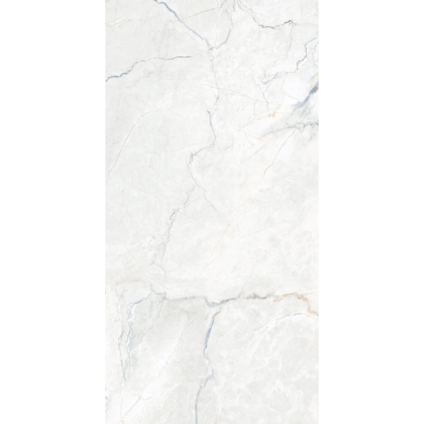 Picture of Happy Floors - Statik 24 x 48 Blend Polished