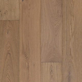 Picture of Azalea Lane - Camden Palomino