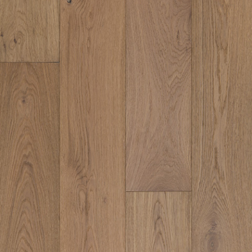 Picture of Azalea Lane - Camden Palomino