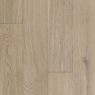 Picture of Azalea Lane - Camden Steeplechase