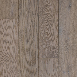 Picture of Azalea Lane - Camden Thoroughbred