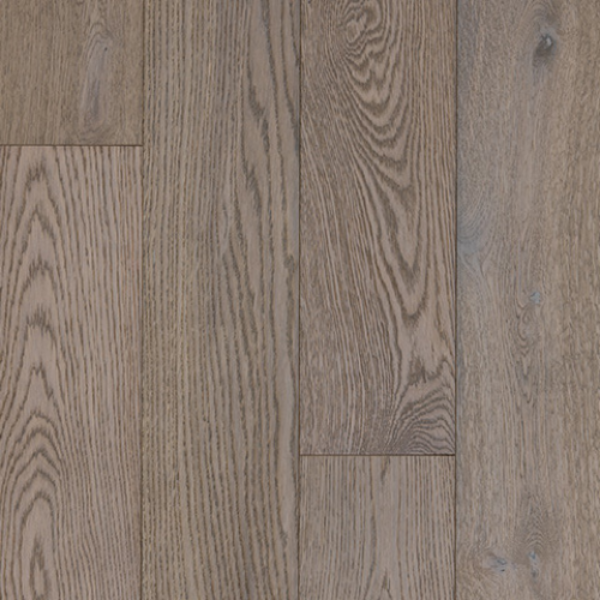 Picture of Azalea Lane - Camden Thoroughbred