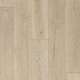 Picture of Azalea Lane - Hampton Meadows Camellia