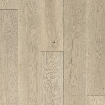 Picture of Azalea Lane - Hampton Meadows Camellia