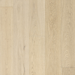 Picture of Azalea Lane - Hampton Meadows Lily