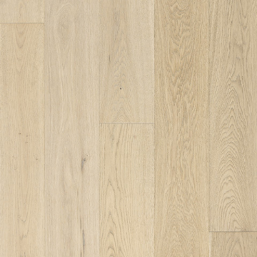 Picture of Azalea Lane - Hampton Meadows Lily