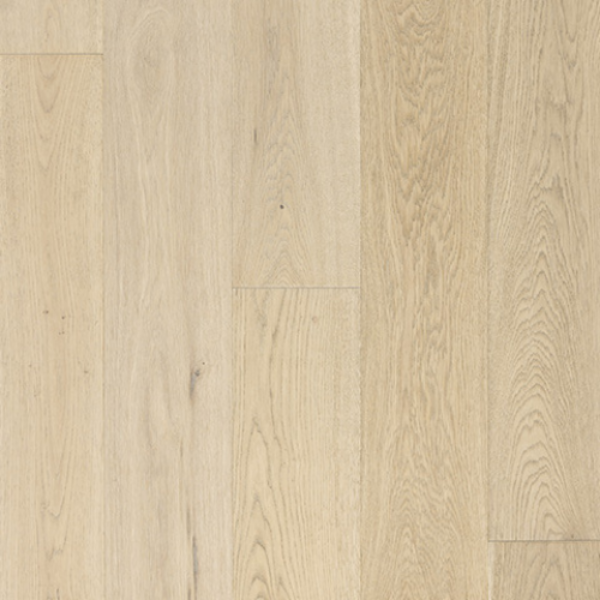 Picture of Azalea Lane - Hampton Meadows Lily