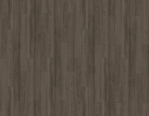 Picture of Beau Flor - Innovious Curio Cypress Pine 699D