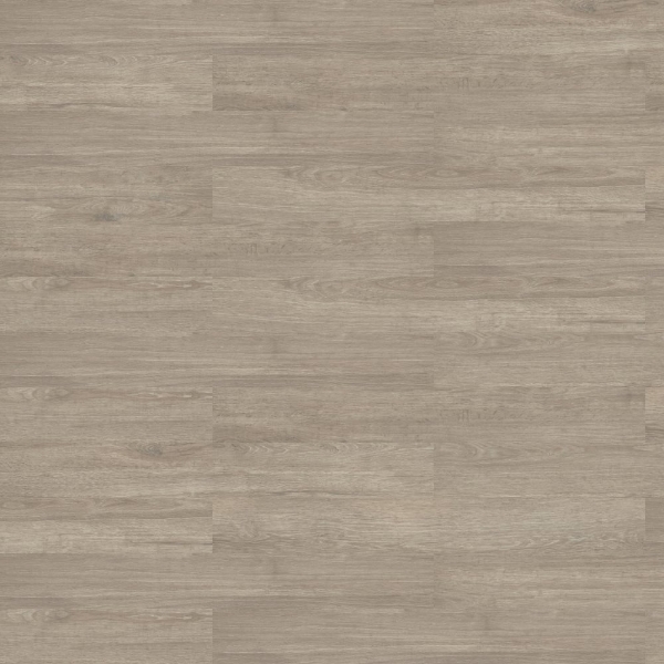 Picture of Shaw Contract - Reside 12 MIL Dwelling